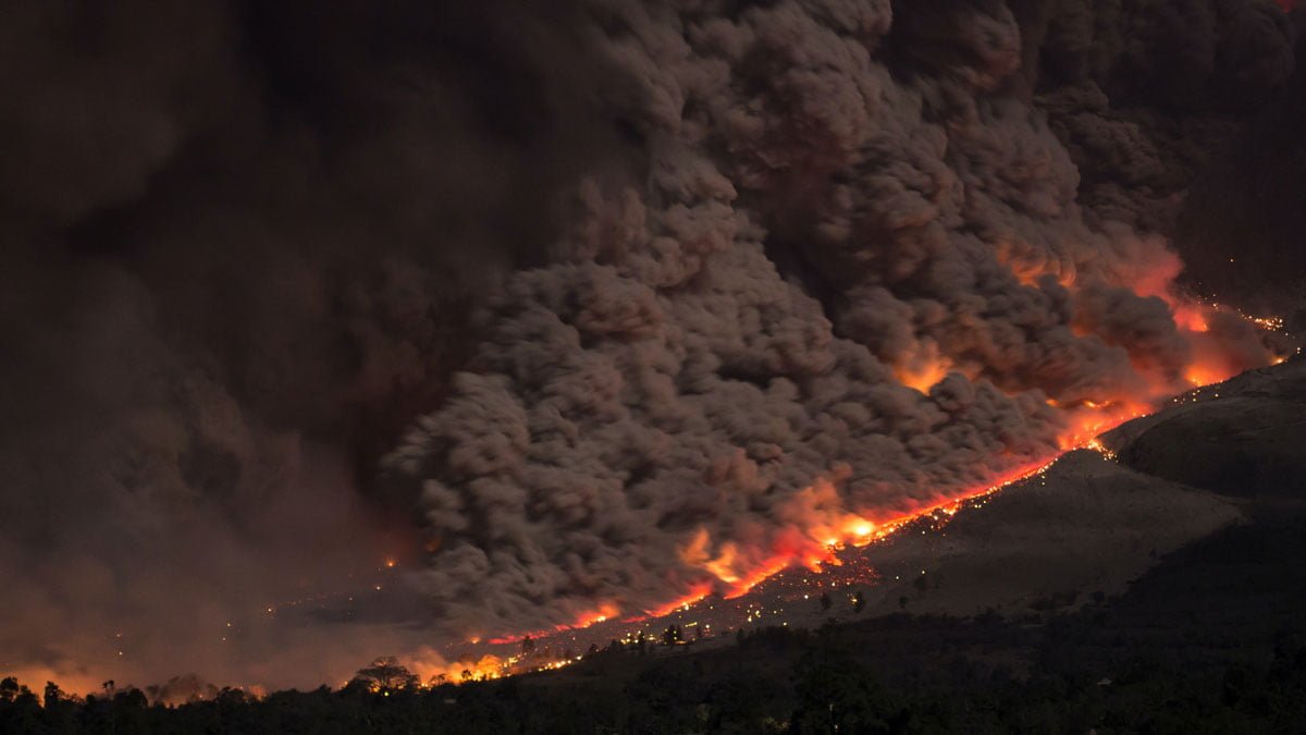 Sumatra: il caffè dell’oceano indiano