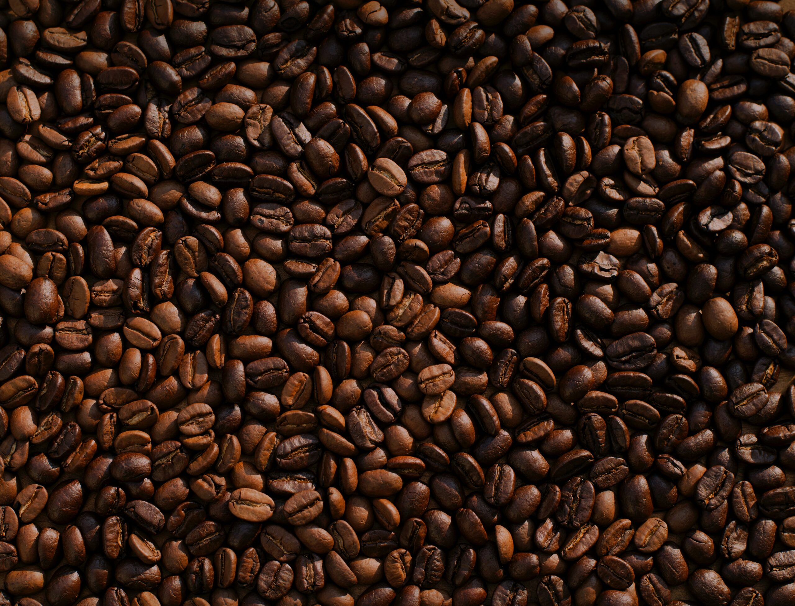 Caffè Excelsa: curiosità